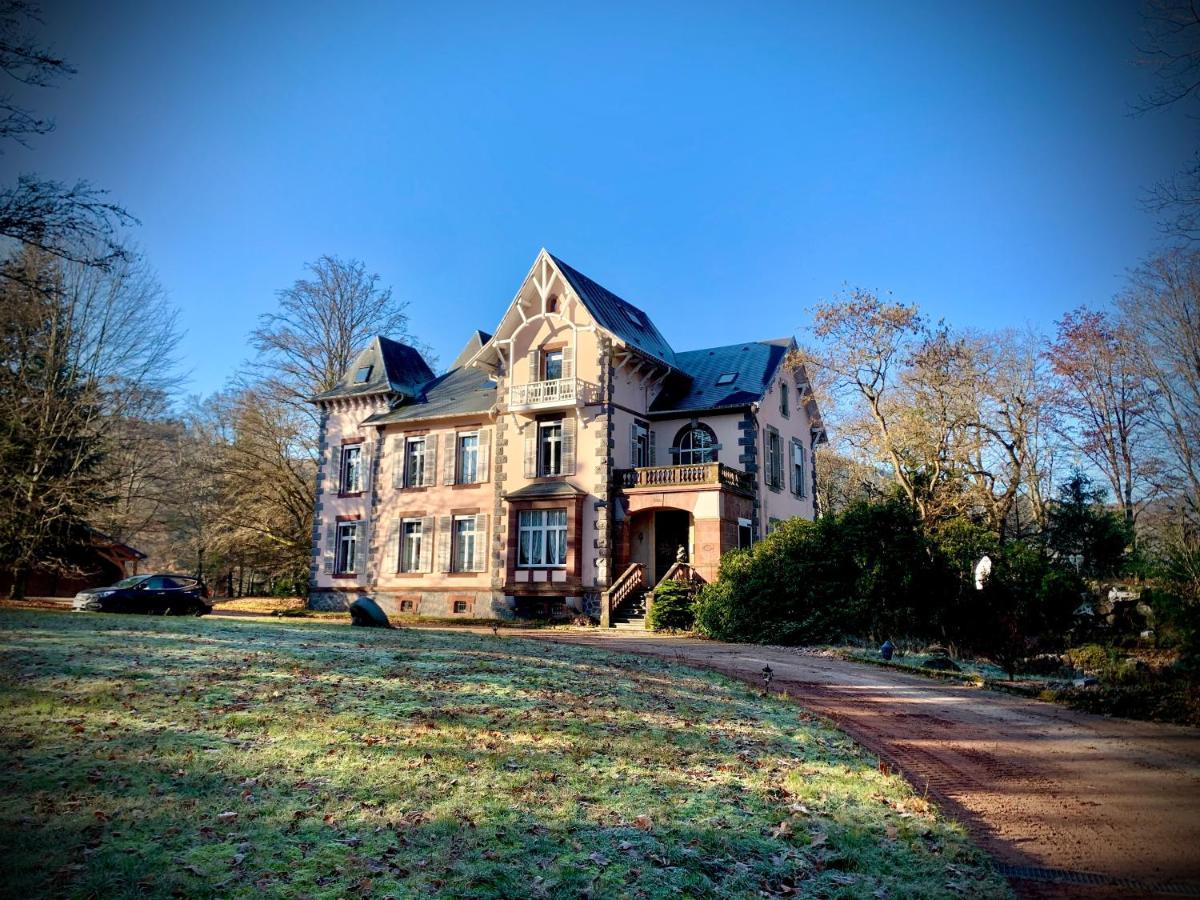 Demoiselle Des Roches Apartment Ramonchamp Екстериор снимка