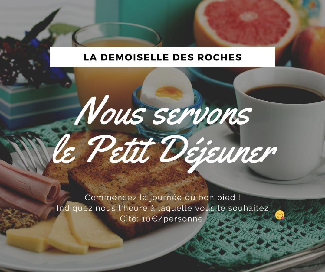Demoiselle Des Roches Apartment Ramonchamp Екстериор снимка
