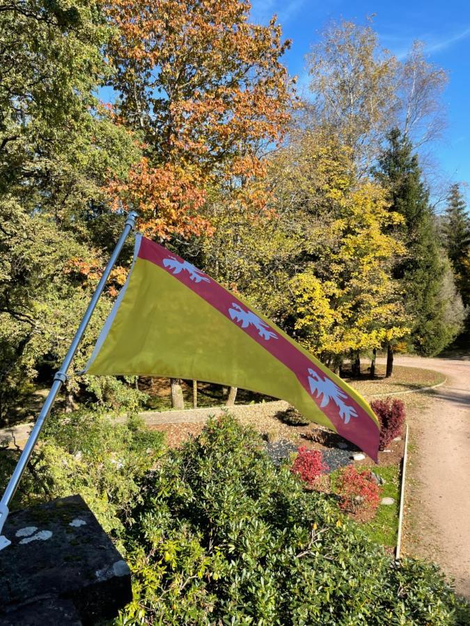 Demoiselle Des Roches Apartment Ramonchamp Екстериор снимка