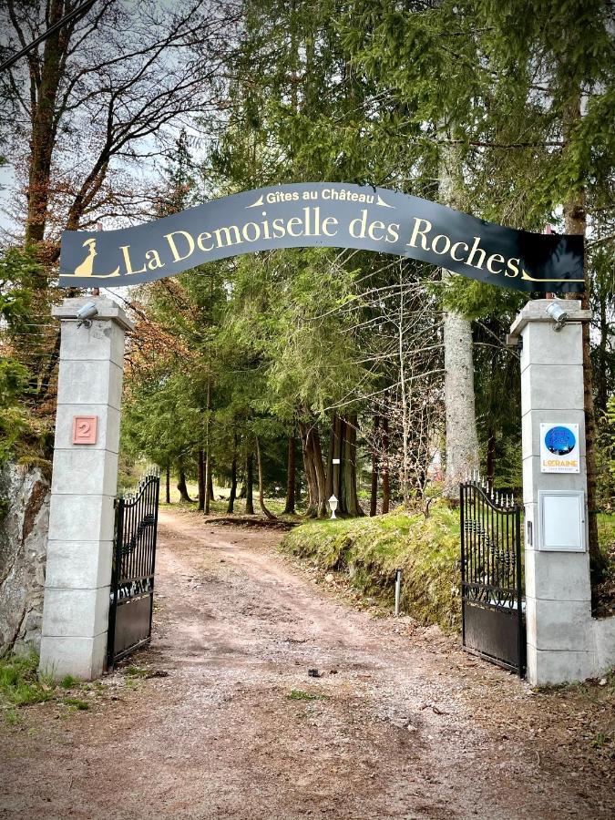 Demoiselle Des Roches Apartment Ramonchamp Екстериор снимка