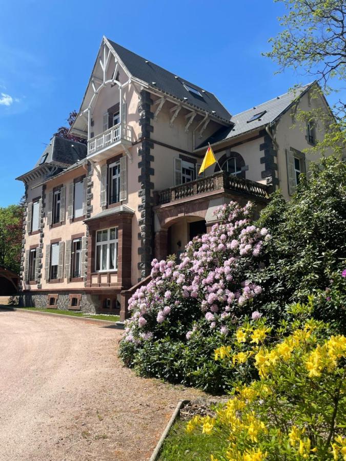 Demoiselle Des Roches Apartment Ramonchamp Екстериор снимка